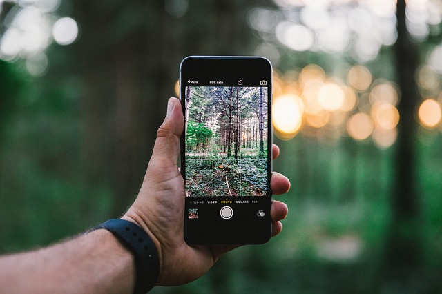 iPhoneで森を撮影する人