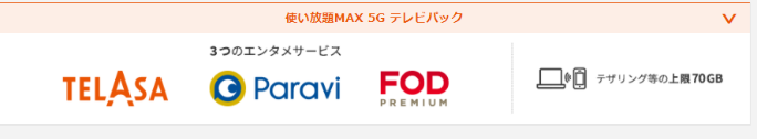 au 使い放題MAX 5G　テレビパック