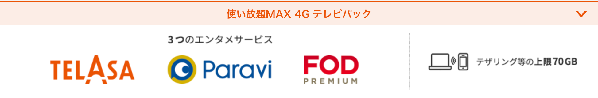 使い放題MAX 4G テレビパック