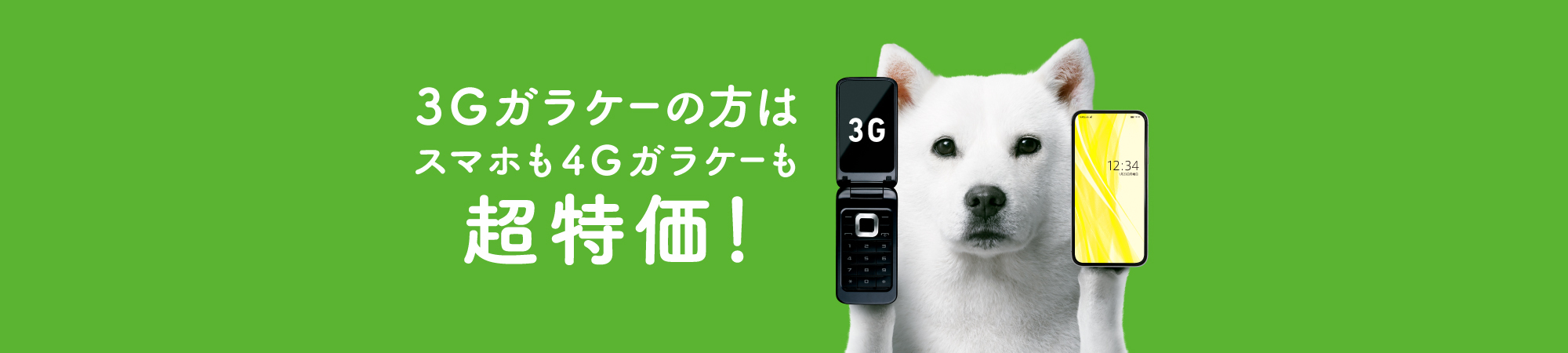 3G買い替えキャンペーン