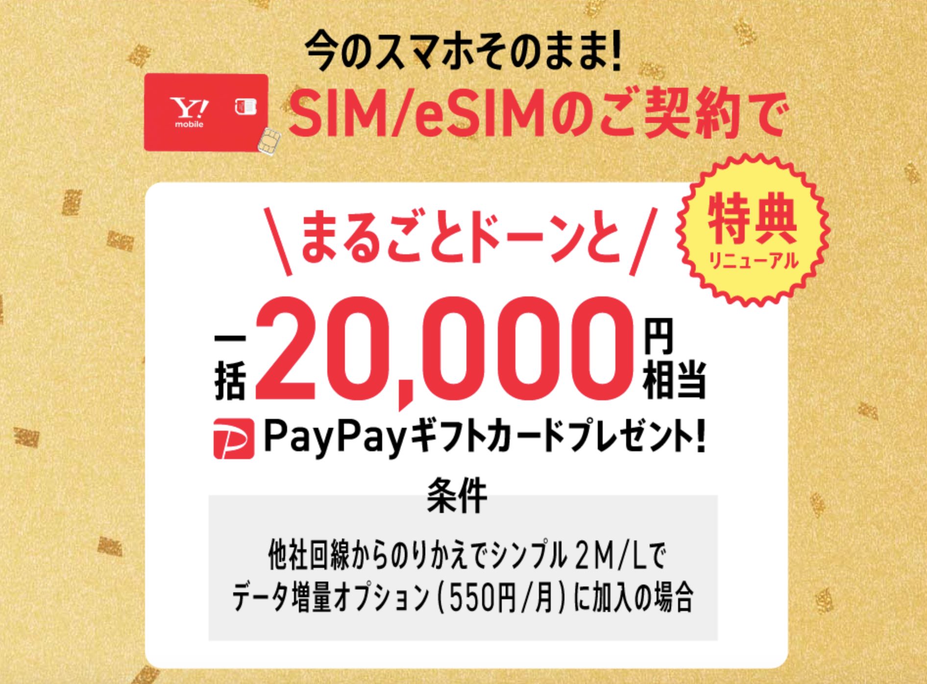 【特典リニューアル！】SIMカード/eSIMご契約でPayPayポイントプレゼント！